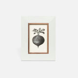 Doncaster White Faux Shagreen and Walnut Wood Trim Frames