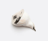 Jack Natural Whelk Shell with Silvered Edges SET OF 2 - Herringbone and Company