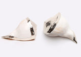Jack Natural Whelk Shell with Silvered Edges SET OF 2 - Herringbone and Company