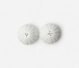 Maria White Porcelain Sea Urchin Salt & Pepper SET - Herringbone and Company